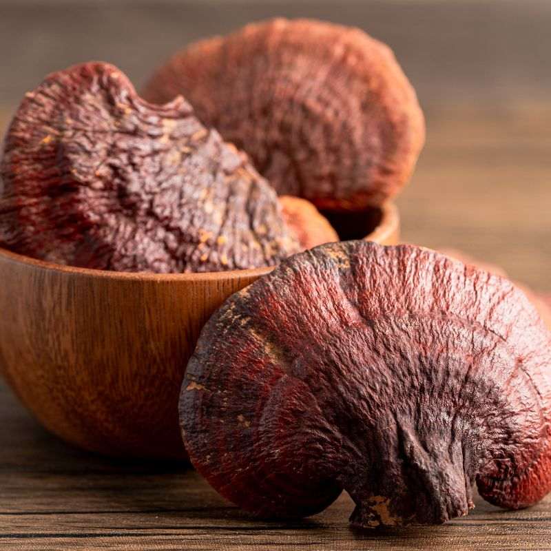 zdrowie naturalnie myblood mycomedica reishi